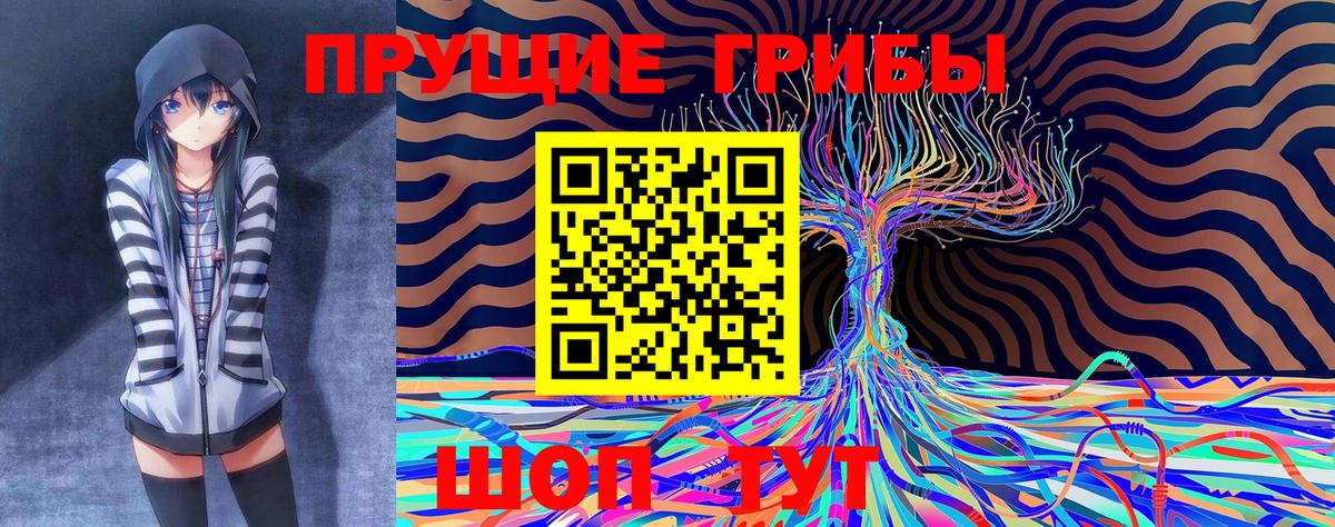 Псилоцибиновые грибы Magic Shrooms  Псилоцибиновые грибы Psilocybe  Вход с VPN  Донской 
