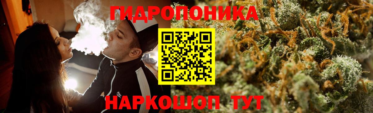 Конопля сатива Донской
